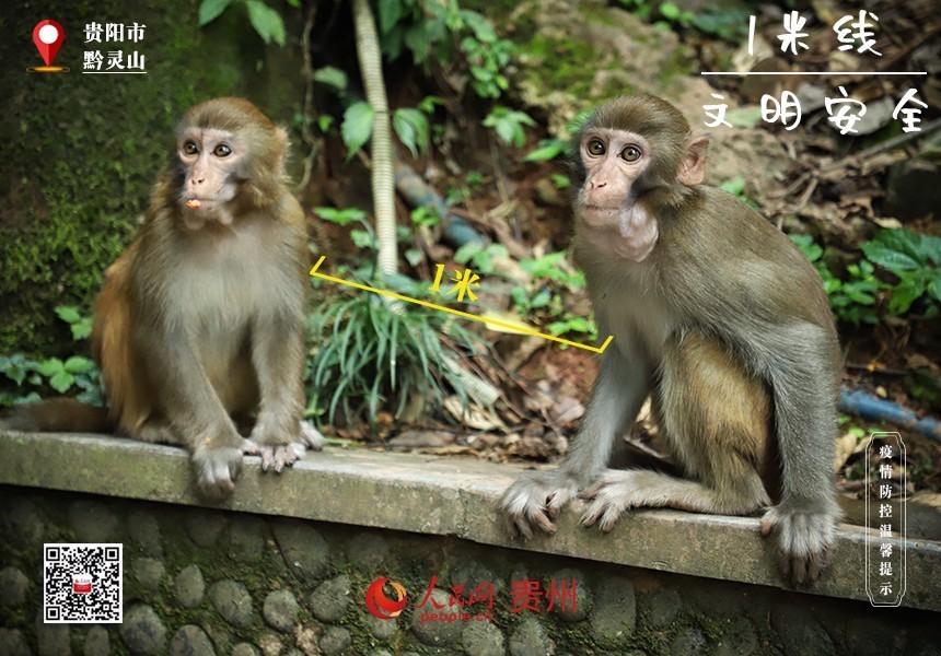 就算約會，也要遵守“1米線”