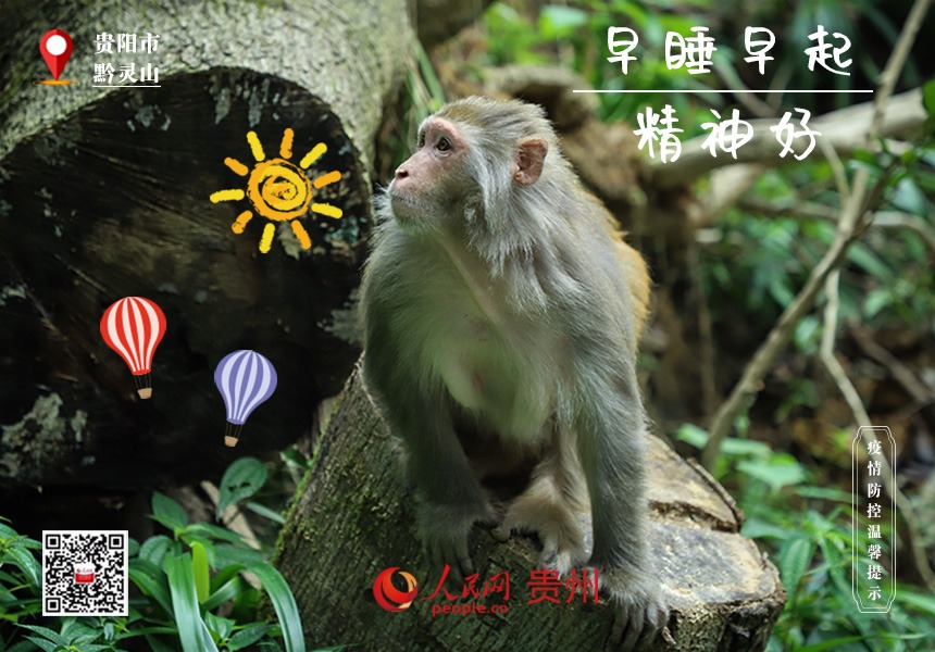 想長壽，作息規律才是王道