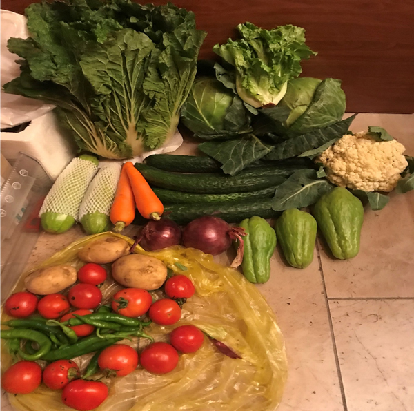 蔬菜品種豐富、新鮮。