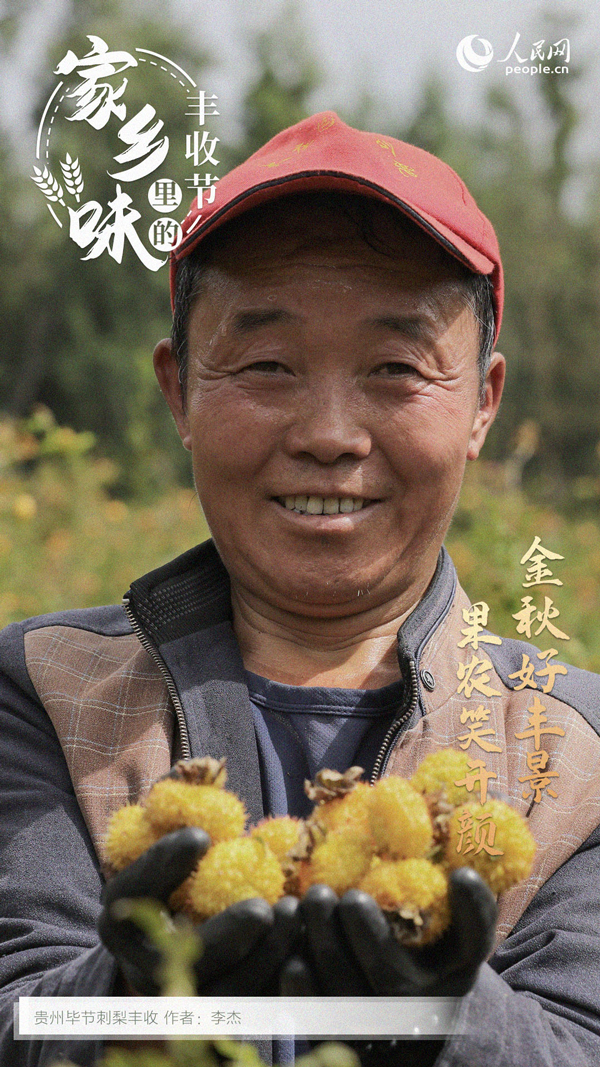 貴州畢節成熟的刺梨。