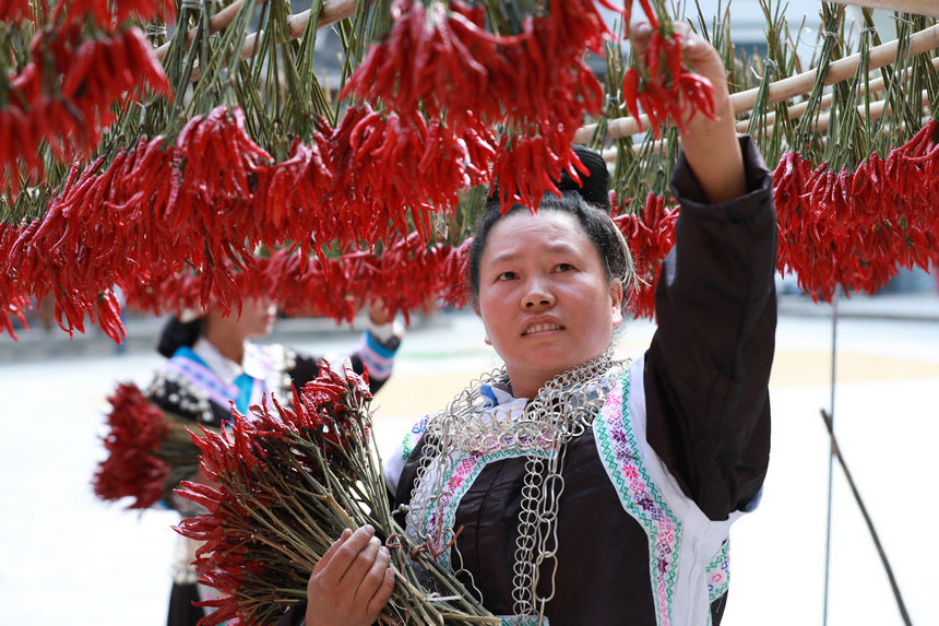 9月21日，村民在晾曬辣椒。