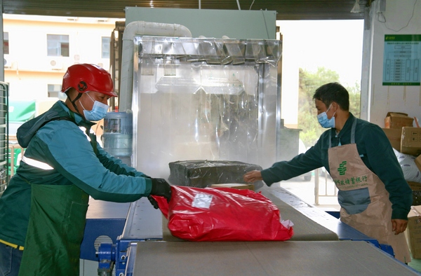 納雍縣郵政公司郵件處理中心，員工在分揀剛剛消殺的郵件。