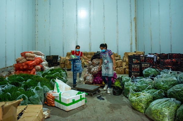 企業員工分揀蔬菜 李學友攝