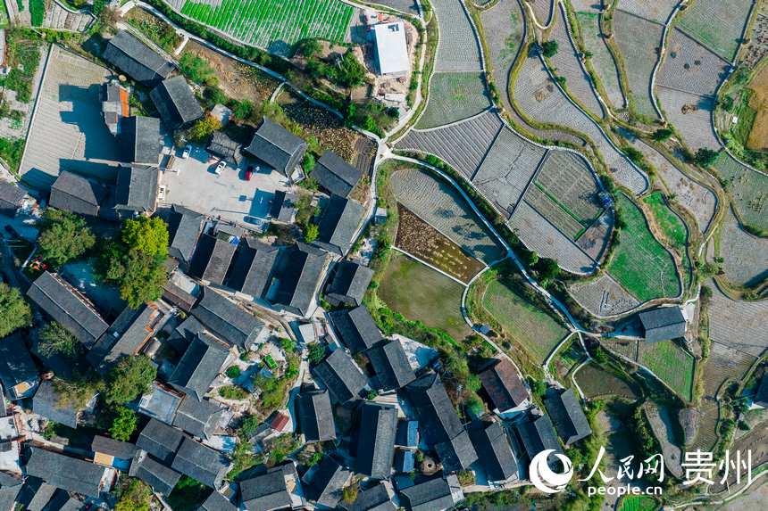 航拍大山深處的雷山縣西江鎮龍塘村。人民網 涂敏攝