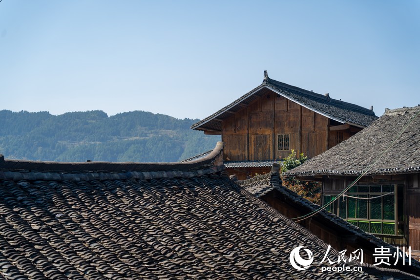 龍塘村的木質小黑瓦民居。人民網 涂敏攝
