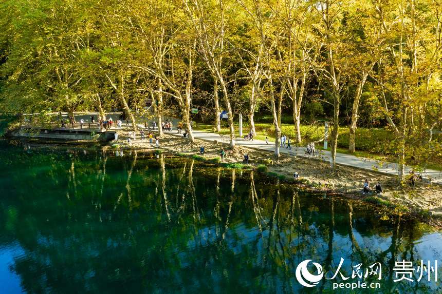 陽光穿過樹枝照射在每位游客的身上。人民網 陽茜攝