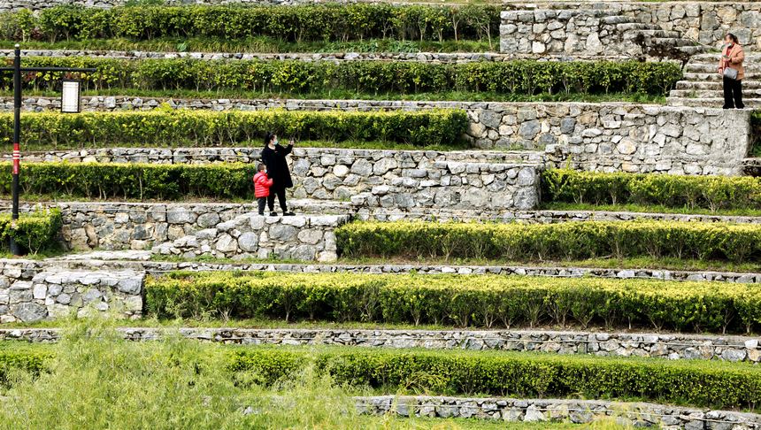 11月1日，市民在大方縣奢香古鎮梯田游玩。何志剛攝