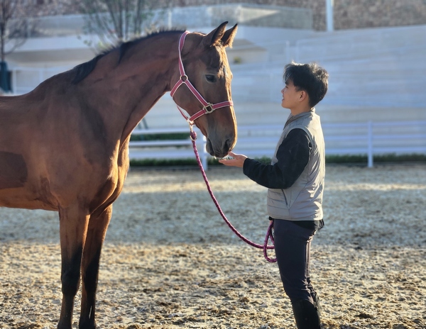 貴陽國際馬術運動中心內的專業競技馬。中國鐵建地產貴州公司供圖