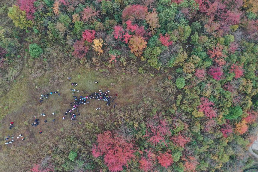 侗族群眾參加侗歌比賽。楊家孟攝