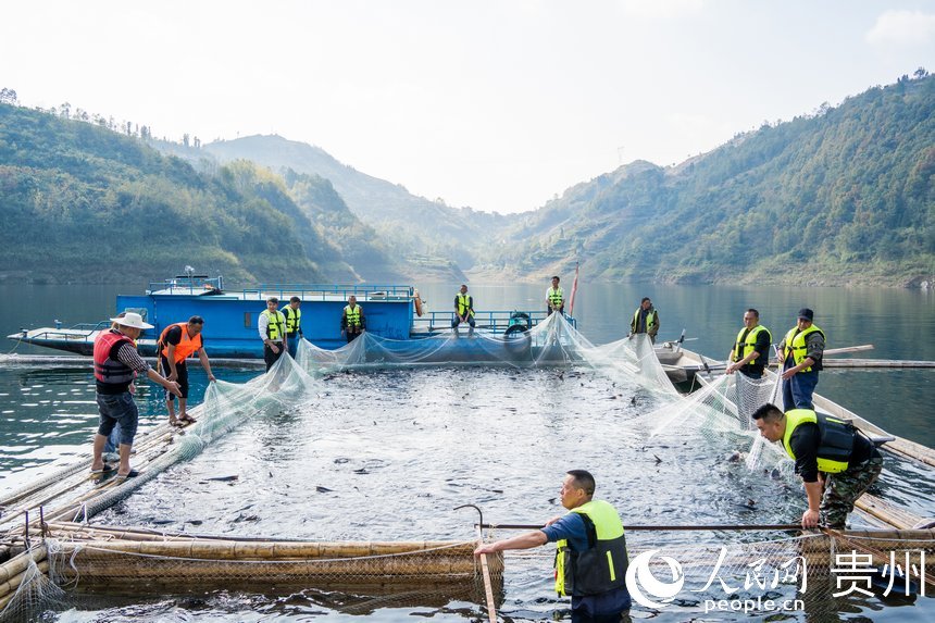 起捕儀式現場。人民網記者 涂敏攝