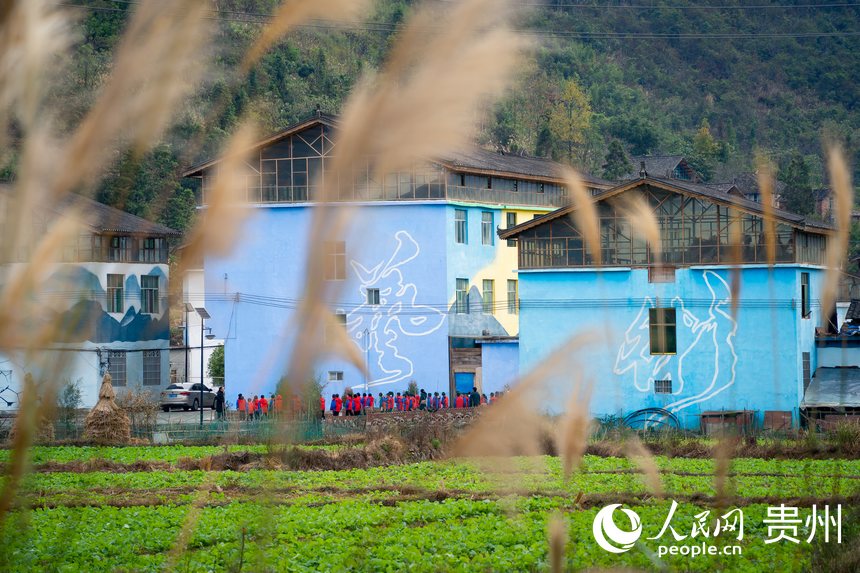 前來研學的學生在村內參觀。人民網記者 涂敏攝