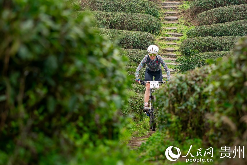 騎行在茶園小徑中的運動員。人民網記者 涂敏攝