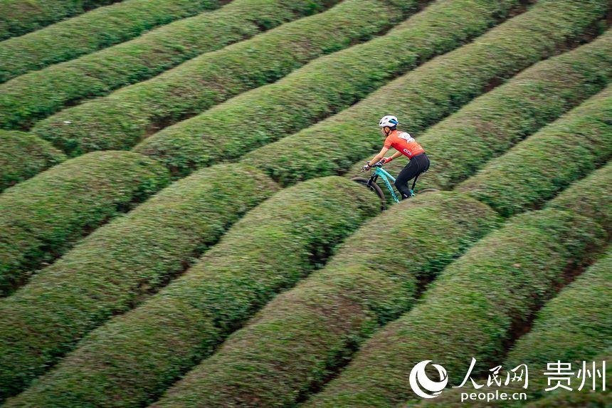 騎行在茶園小徑中的運動員。人民網記者 涂敏攝