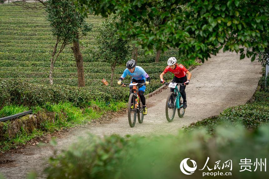 比賽現場。人民網記者 涂敏攝