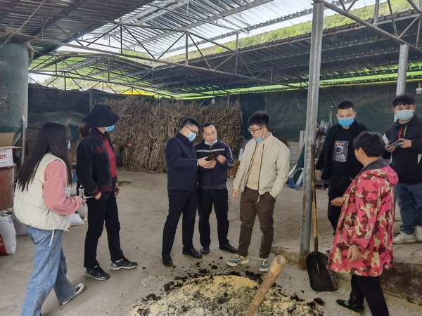 貴州大學動科院專家作牛酒糟飼料調制現場指導。貴州大學供圖