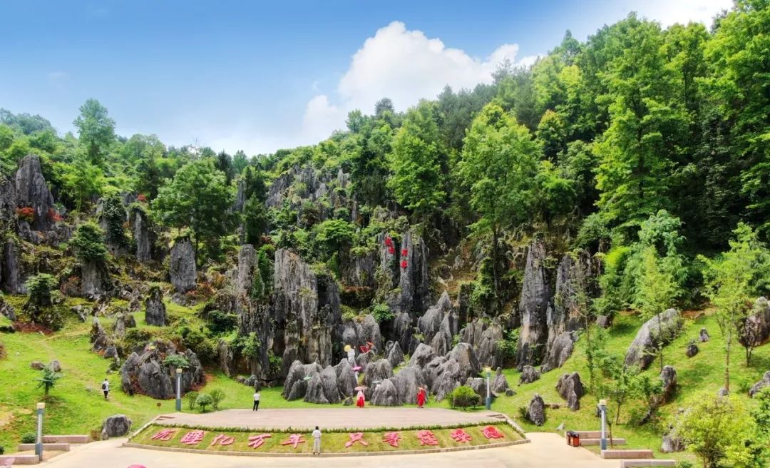 思南石林。