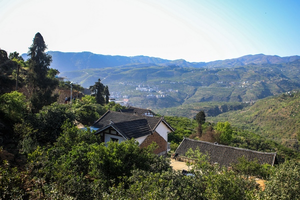 畢節市七星關區清水鋪鎮橙滿園社區生態良好。陳曦攝