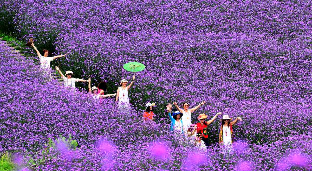 杉坪景區。張金文攝