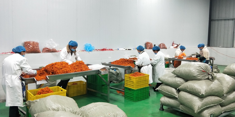 訂單充足，生產火熱