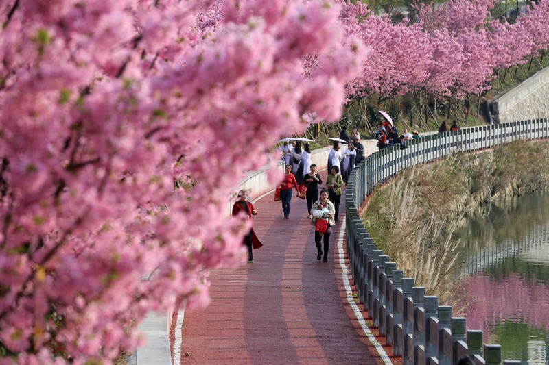 4.錦屏縣的濱江健身步道。貴州省衛生健康委員會供圖