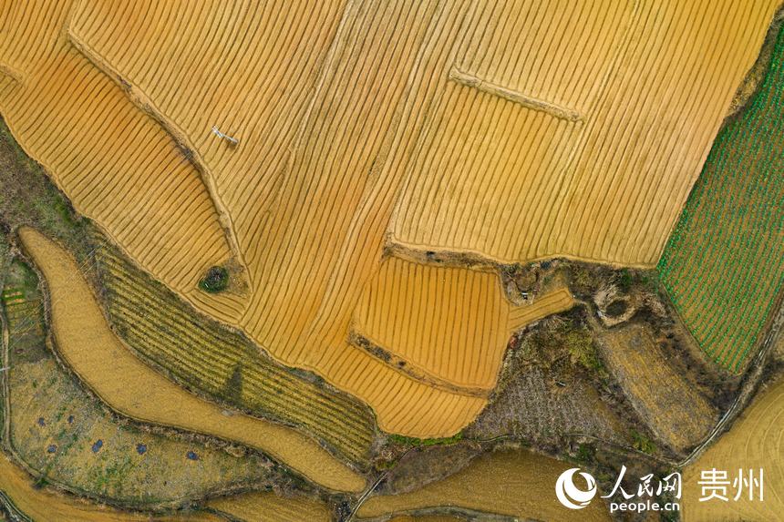 航拍整理后的土地。人民網 涂敏攝