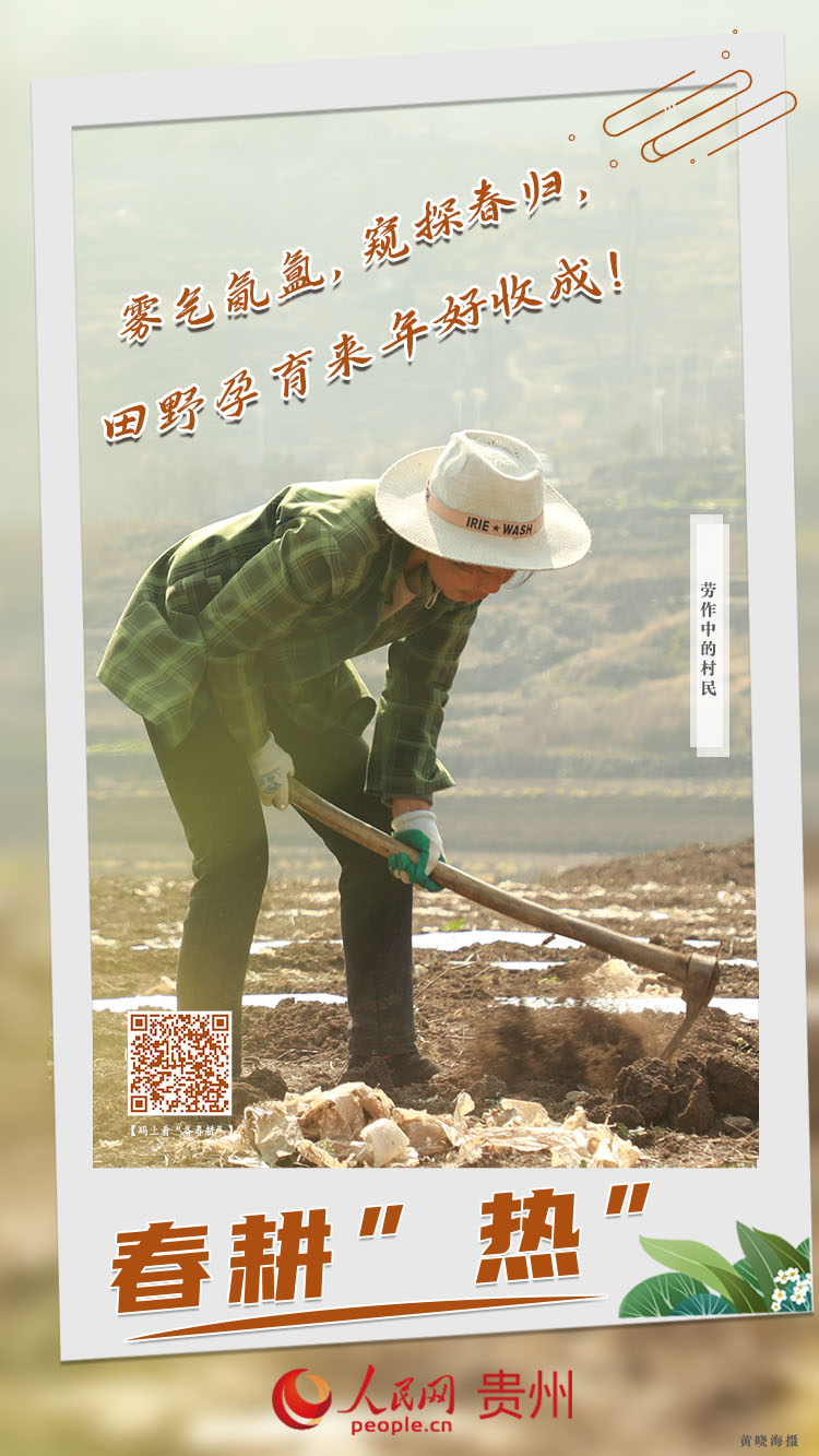 霧氣氤氳，窺探春歸，田野孕育來年好收成！