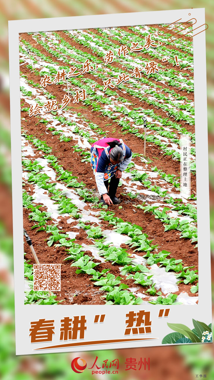 農耕之樂，勞作之美，繪就鄉村“只此青綠”！