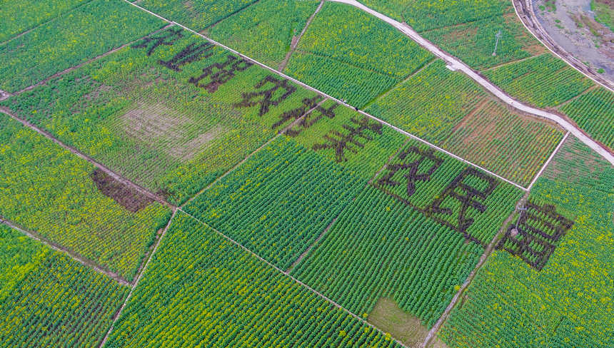圖為萬元村東山壩區局部。
