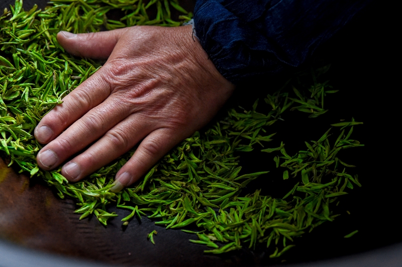 手工炒茶。林劍攝