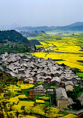 安順十條避暑旅游線路等你來