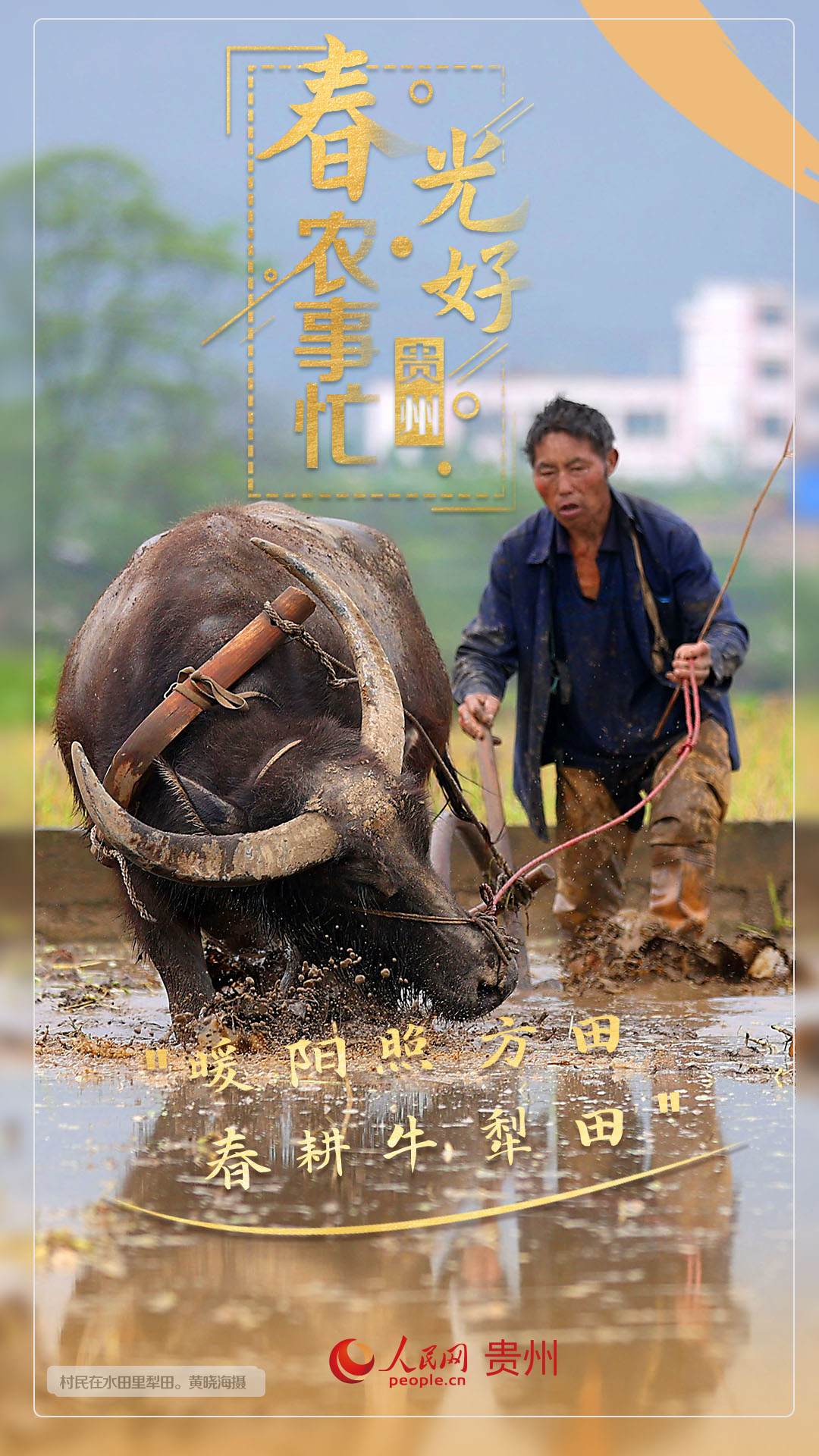 “暖陽照方田 春耕牛犁田”。