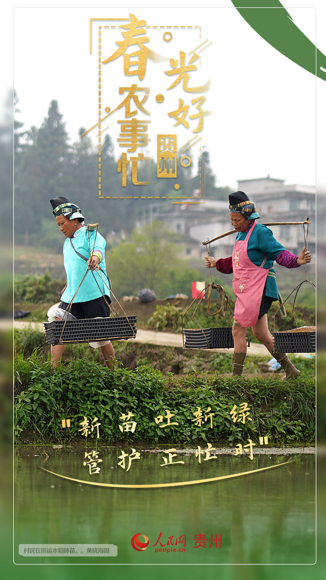 “新苗吐新綠 管護正忙時”。