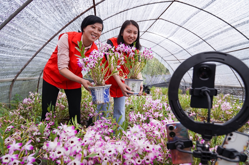 直播帶貨。張鵬攝