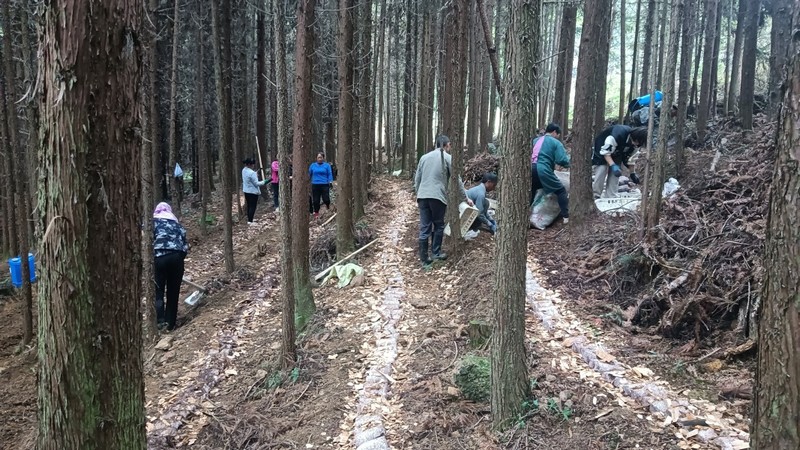 當地村民在基地務工每天可領取工錢120元。姜繼恒攝
