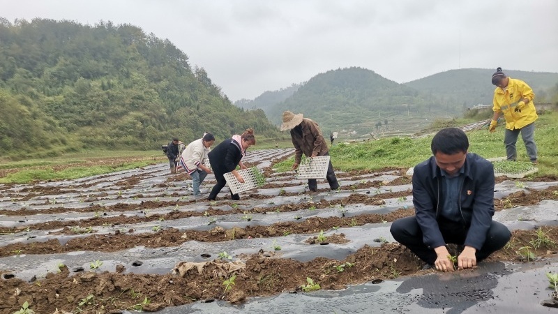 黨員干部到場指導。