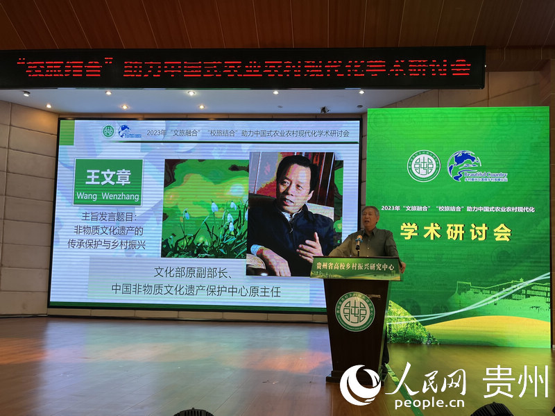 專家發言。人民網 李麗萍攝