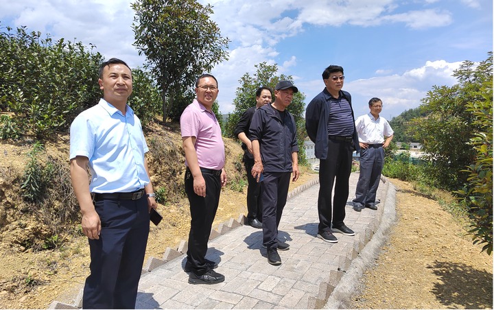 圖為在巴鈴鎮大普村調研科技服務示范基地建設情況。