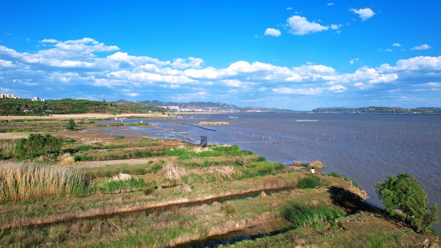 貴州草海國家級自然保護區。王近松攝