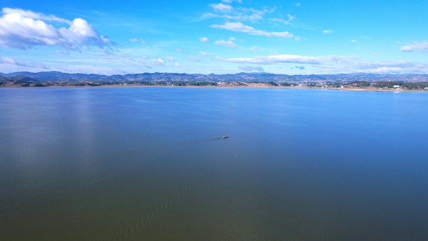 貴州草海國家級自然保護區。王近松攝