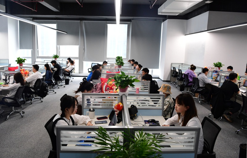 貴陽編程貓科技有限公司。