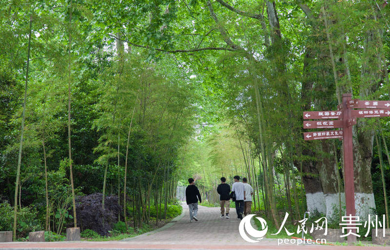 黔南民族職業技術學院校園一角。人民網 龍章榆攝