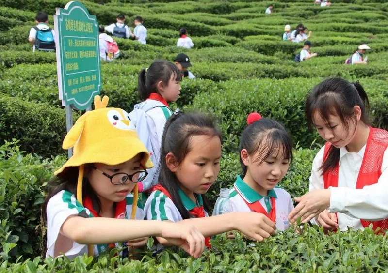 學院的茶山吸引眾多小學生前來研學。黔南民族職業技術學院供圖