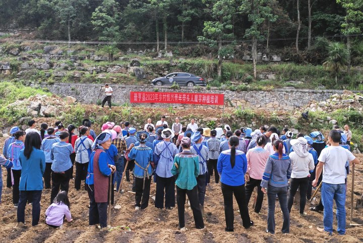 圖為培訓現場。