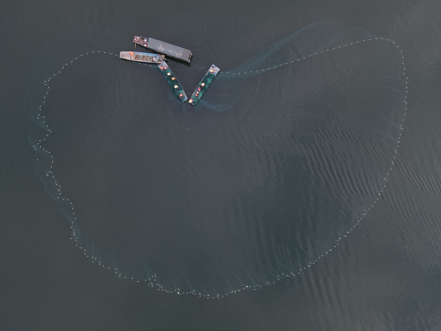 漁場工作人員正在捕撈。馬偉攝  