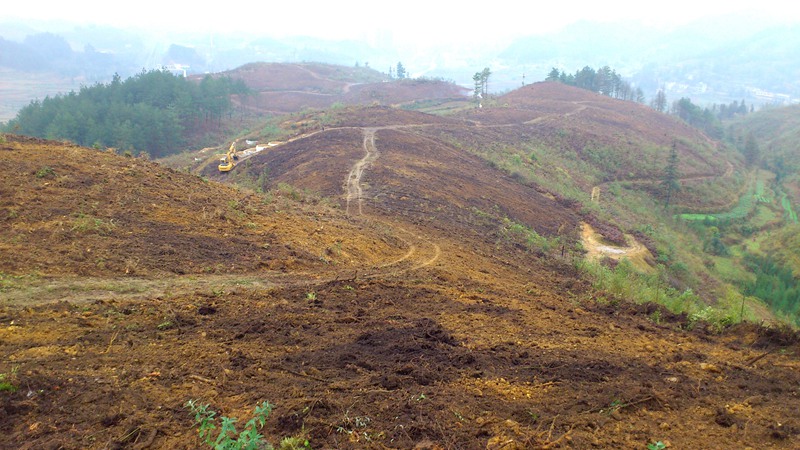 鳳凰山實施治理前。石祖述攝