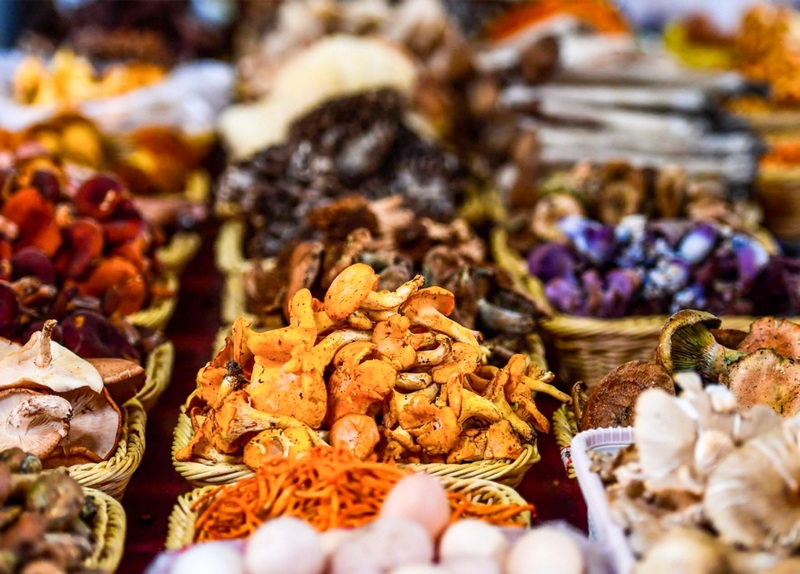 種類豐富的野生菌。龍里縣委宣傳部供圖