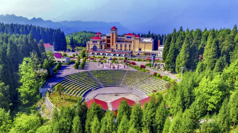 孿生三兄弟護林40余載。