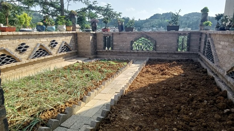 村民家的小菜園。姜繼恒攝