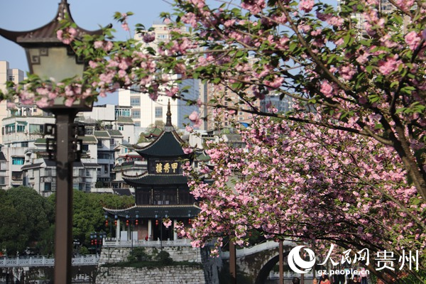 春日的南明河畔，生機勃勃。李永馨攝