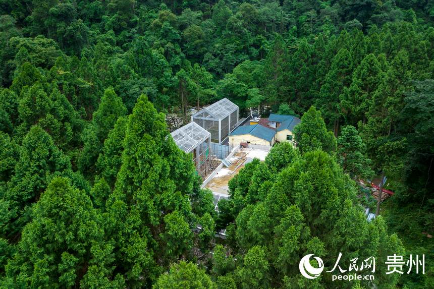 航拍梵凈山國家級自然保護區野生動物救護中心。人民網記者 涂敏攝